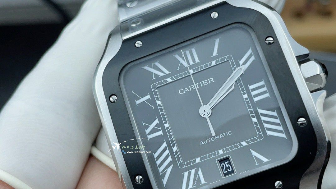 Cartier Santos BV Factory best replica  watch imitation WSSA0037 watches  / K380