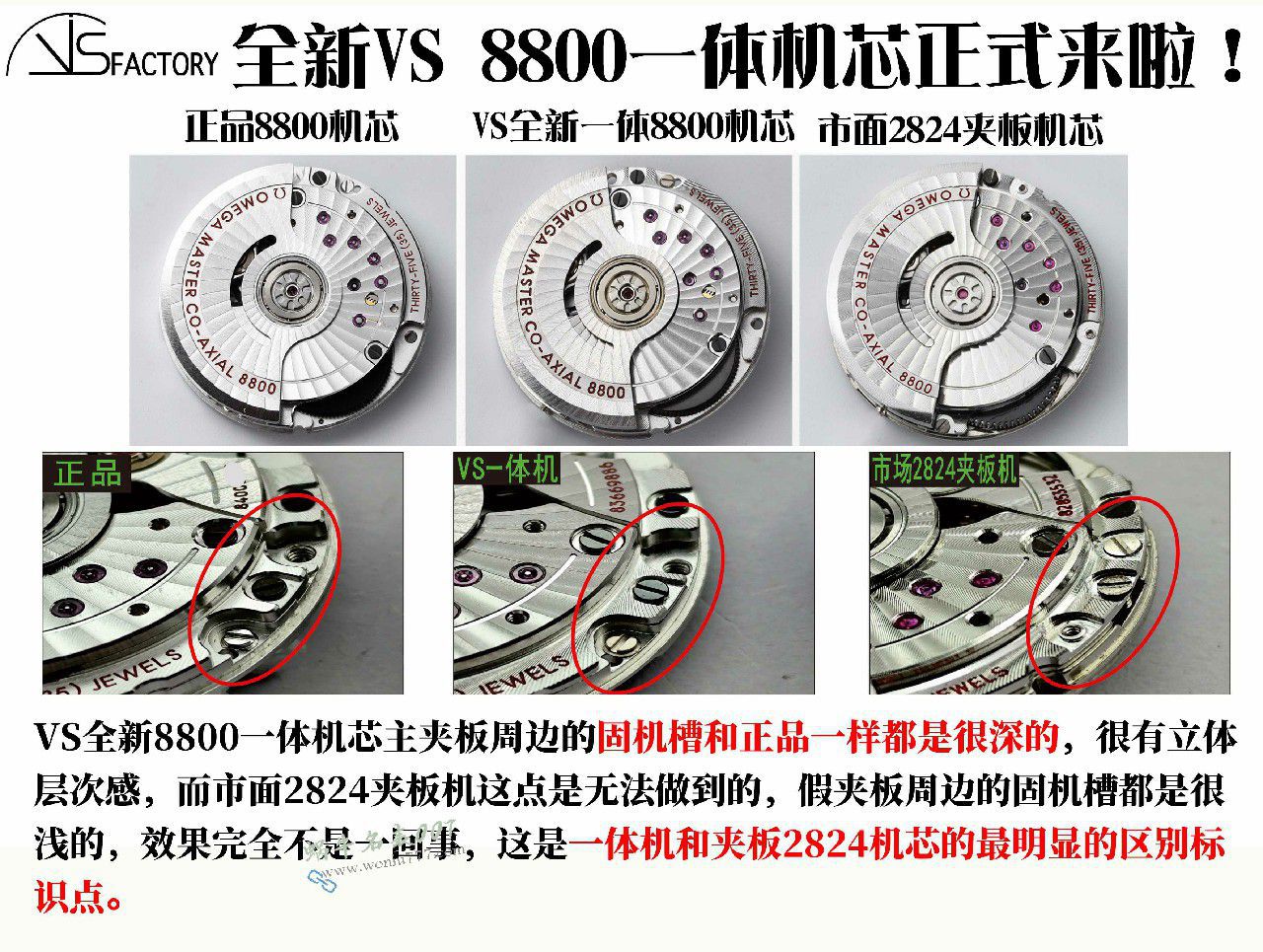  Video review VS Factory V4 Version Omega No Time to Die 210.90.42.20.01.001 watches  / VS830