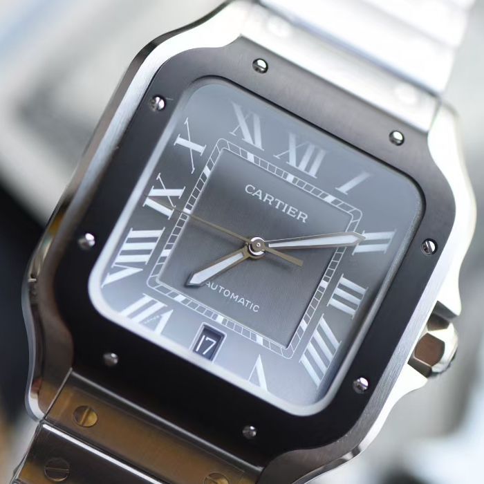 Cartier Santos TOP replica  watch WSSA0037 watches 