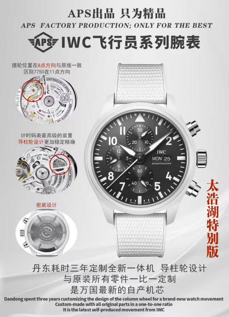 APS厂IWC万国表飞行员系列IW389105腕表(“太浩湖”特别版) / IW670